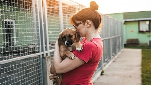Woman at animal shelter adopting a dog.